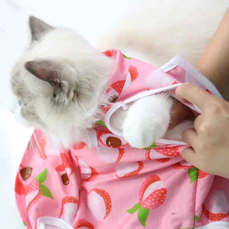 A cheerful little healing suit that brings comfort and color to recovery days. - Image 41