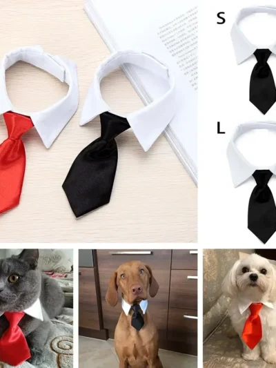 Formal Kitty Neck Tie. Black & Red Tuxedo Necktie for Parties, Weddings & Holidays