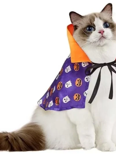 Magical Cat Wizard Cloak, Halloween Pumpkin Ghost Cape for Kitties.