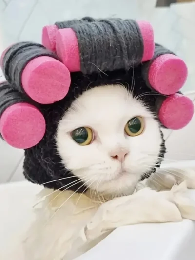 Whisker‑Ready Dress‑Up Costume — Purrfect for Playtime & Photo Ops