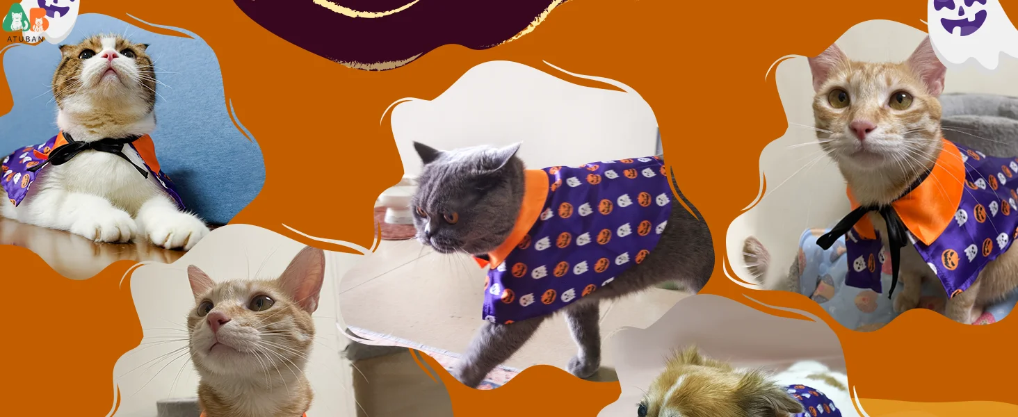 Magical Cat Wizard Cloak, Halloween Pumpkin Ghost Cape for Kitties. - Image 10