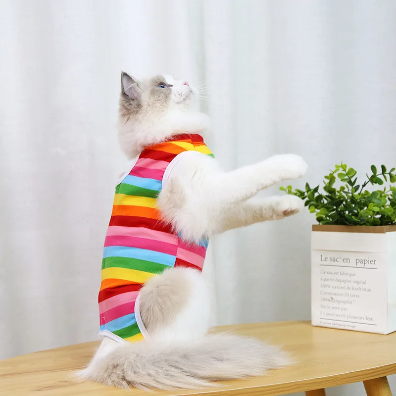 A cheerful little healing suit that brings comfort and color to recovery days. - Image 16