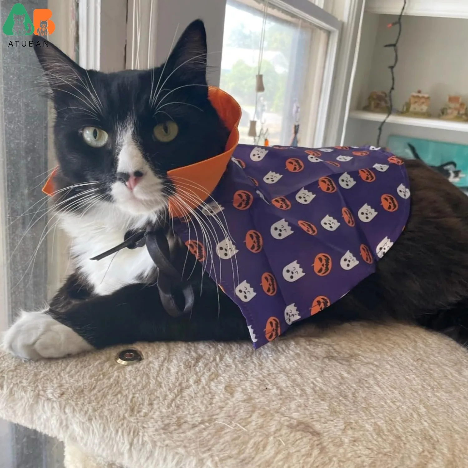 Magical Cat Wizard Cloak, Halloween Pumpkin Ghost Cape for Kitties. - Image 2