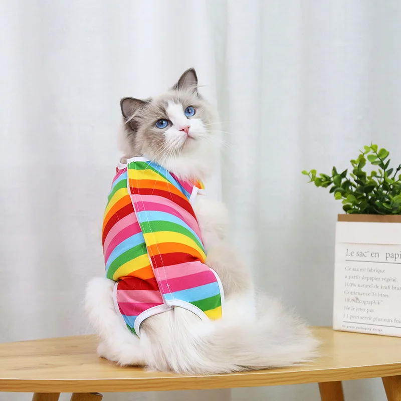 A cheerful little healing suit that brings comfort and color to recovery days. - Image 5
