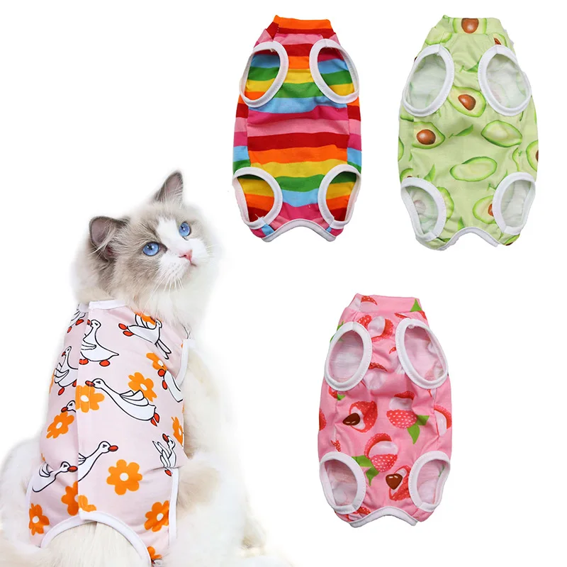 A cheerful little healing suit that brings comfort and color to recovery days. - Image 45
