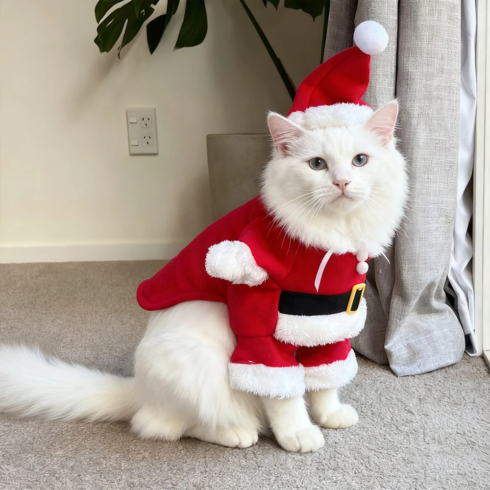 Santa Paw Holiday Suit. Cozy, Festive, and Totally Adorable - Image 17