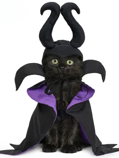 Spooky Cut Halloween Costume.   For Cats Who Love a Little Drama