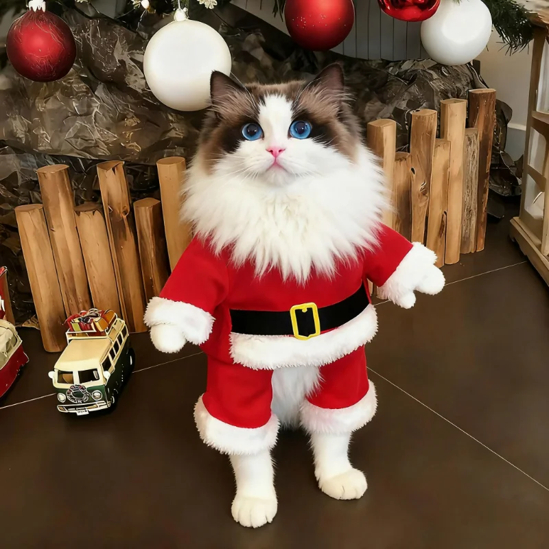 Santa Paw Holiday Suit. Cozy, Festive, and Totally Adorable