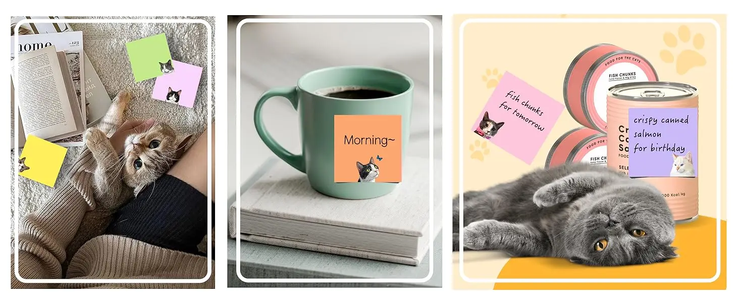 Black Cat Sticky Notes -9 Pad 3 X 3 Memo Set for School & Office - Image 11