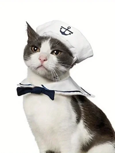 Seaside Sailor Kitty Suit. Nautical, Charming, and Ready to Set Sail