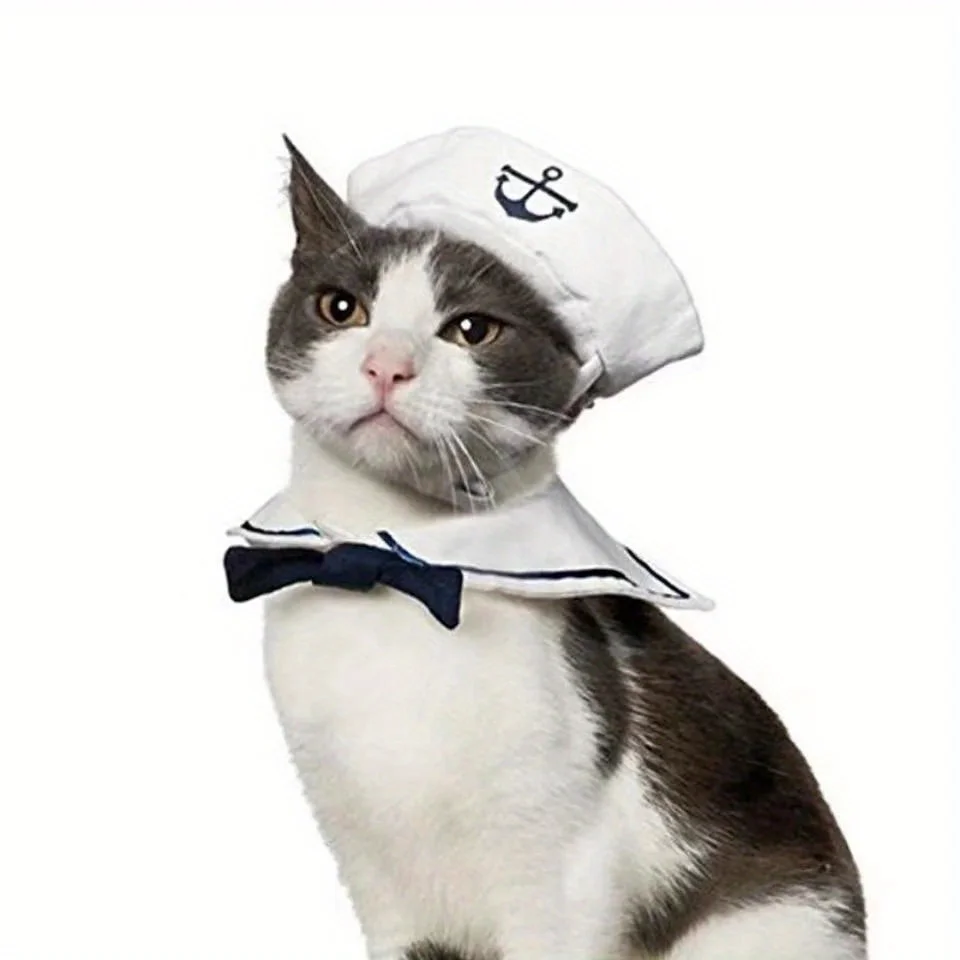 Seaside Sailor Kitty Suit. Nautical, Charming, and Ready to Set Sail