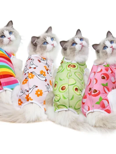 A cheerful little healing suit that brings comfort and color to recovery days.
