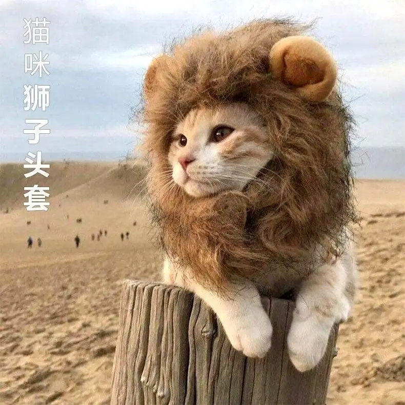 Warm & Whimsical Kitty Mane Hat. Cozy, Cute, and Perfect for Little Feline Divas - Image 6