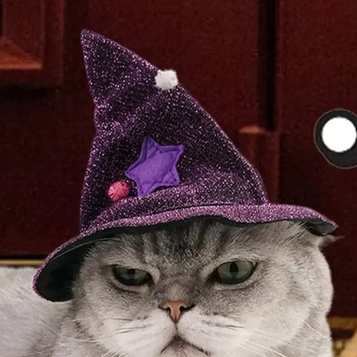 ⭐Halloween Wizard Pet Costume – Magical Cloak & Hat for Cats & Dogs - Image 8