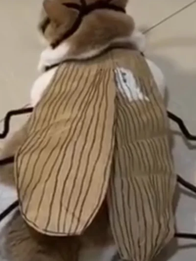⭐ Funny Cockroach Pet Dress‑Up — best for broad appeal