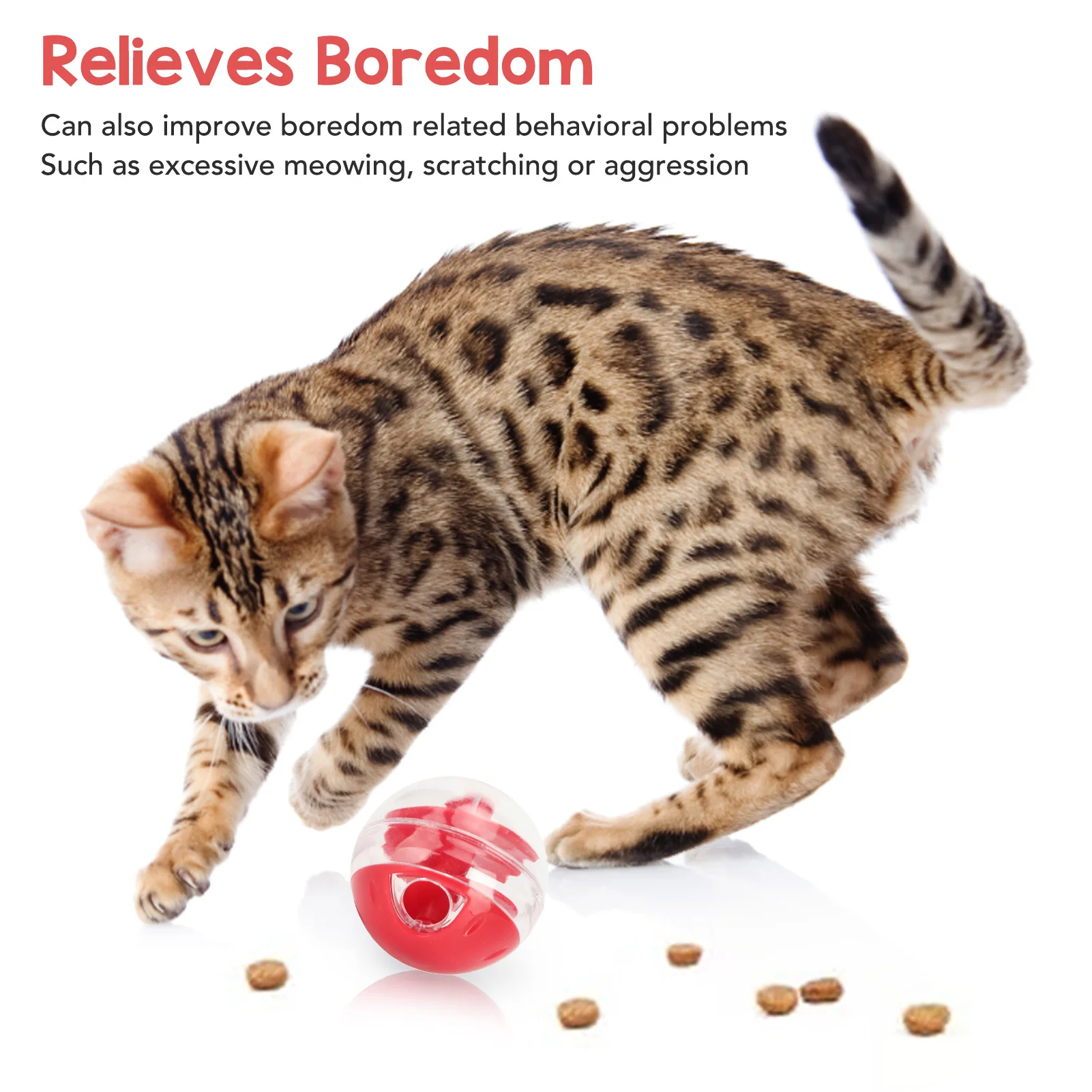 ⭐ Kitten Intelligence Training Treat Dispenser - Image 4
