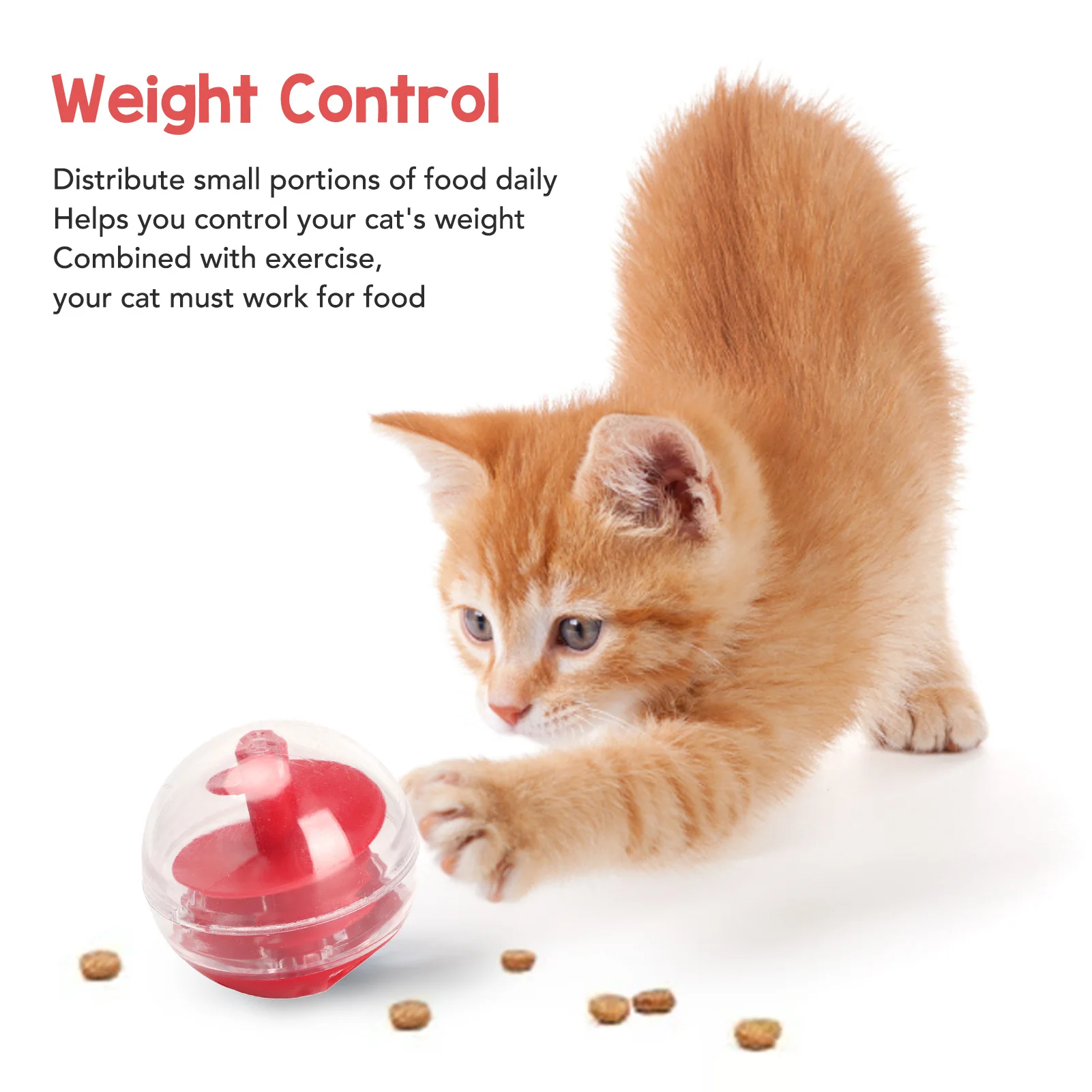 ⭐ Kitten Intelligence Training Treat Dispenser - Image 3