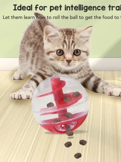 ⭐ Kitten Intelligence Training Treat Dispenser