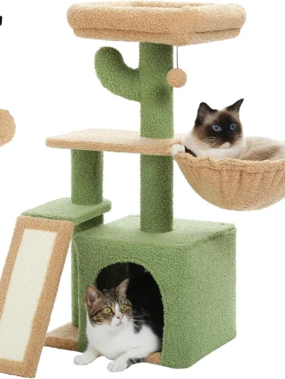 ⭐ Succulent Snuggle Cactus Cat Playground