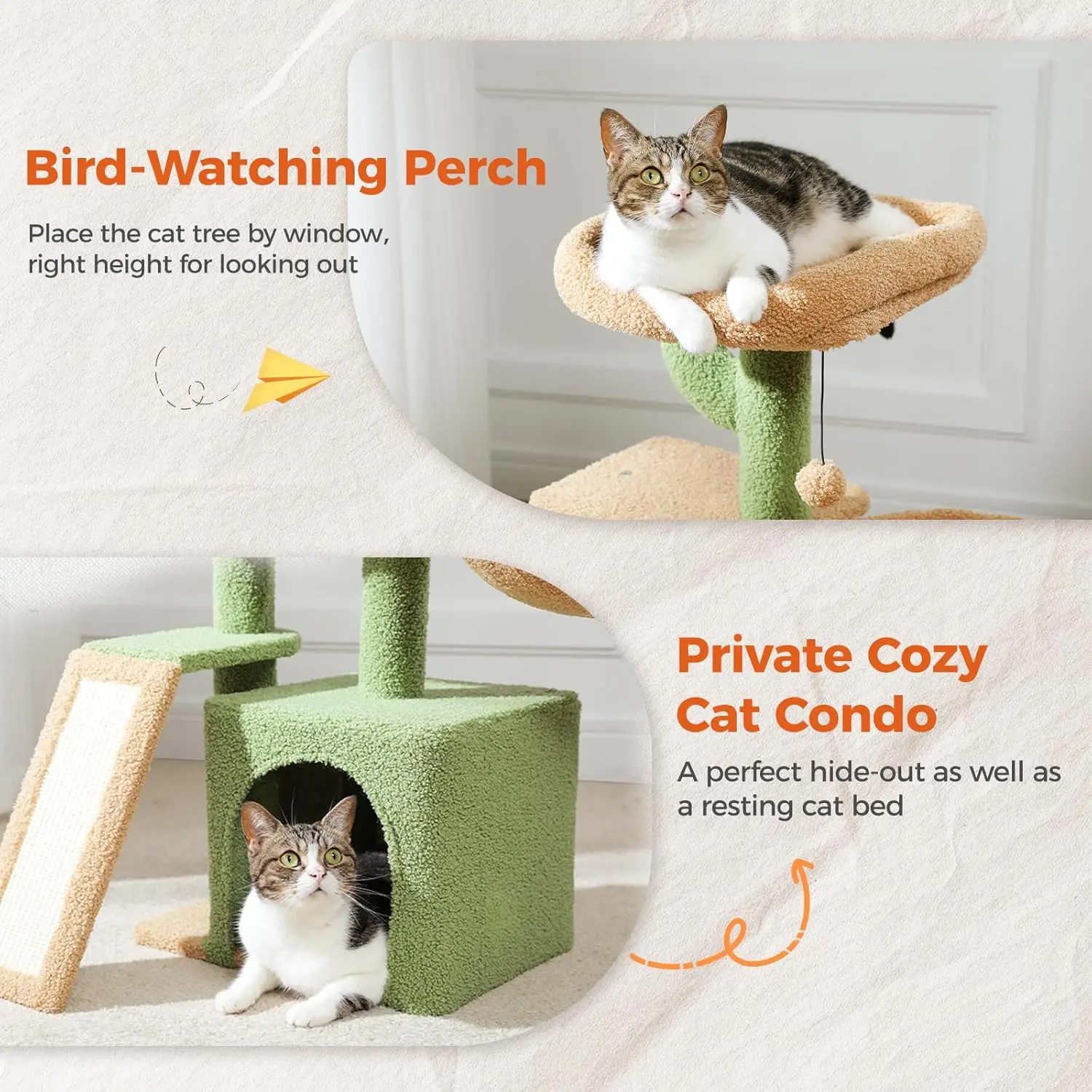 ⭐ Succulent Snuggle Cactus Cat Playground - Image 3