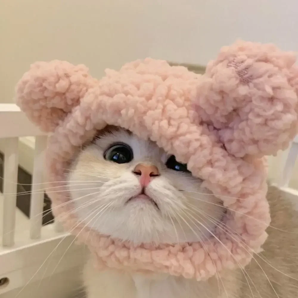 ⭐ Cute Cat Wig Costume – Funny Pet Hat with Ears for Cats & Small Dogs - Image 13