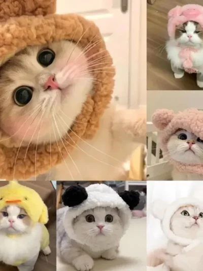 ⭐ Cute Cat Wig Costume – Funny Pet Hat with Ears for Cats & Small Dogs