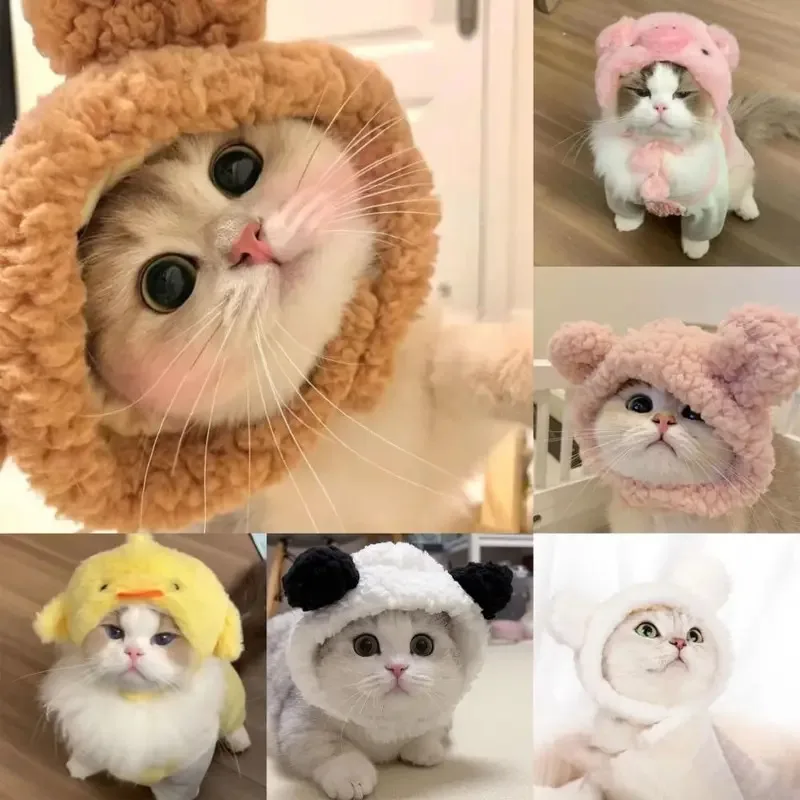 ⭐ Cute Cat Wig Costume – Funny Pet Hat with Ears for Cats & Small Dogs