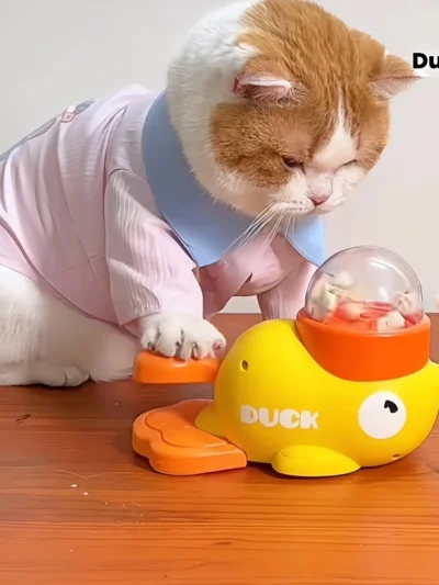 ⭐ Interactive Duck Feeder Toy
