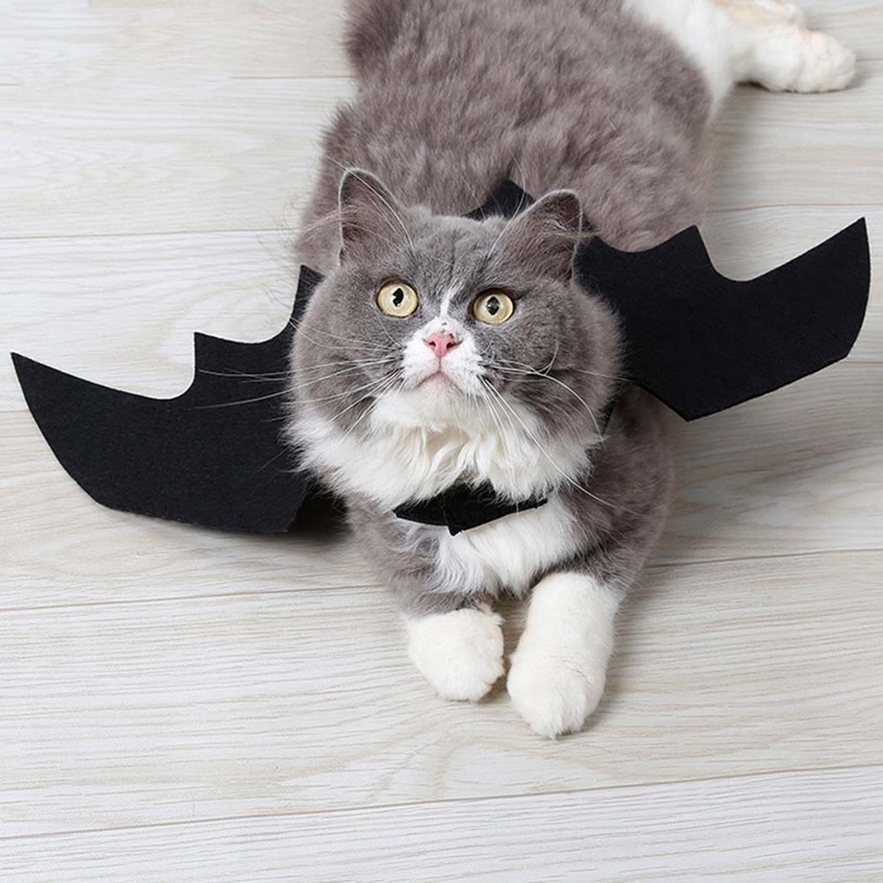 ⭐Black Bat Wings Halloween Harness – Cute Cosplay Costume for Cats & Small Dogs - Image 13