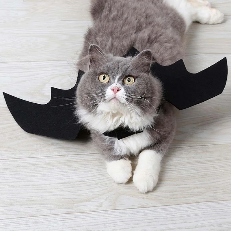 ⭐Black Bat Wings Halloween Harness – Cute Cosplay Costume for Cats & Small Dogs - Image 5