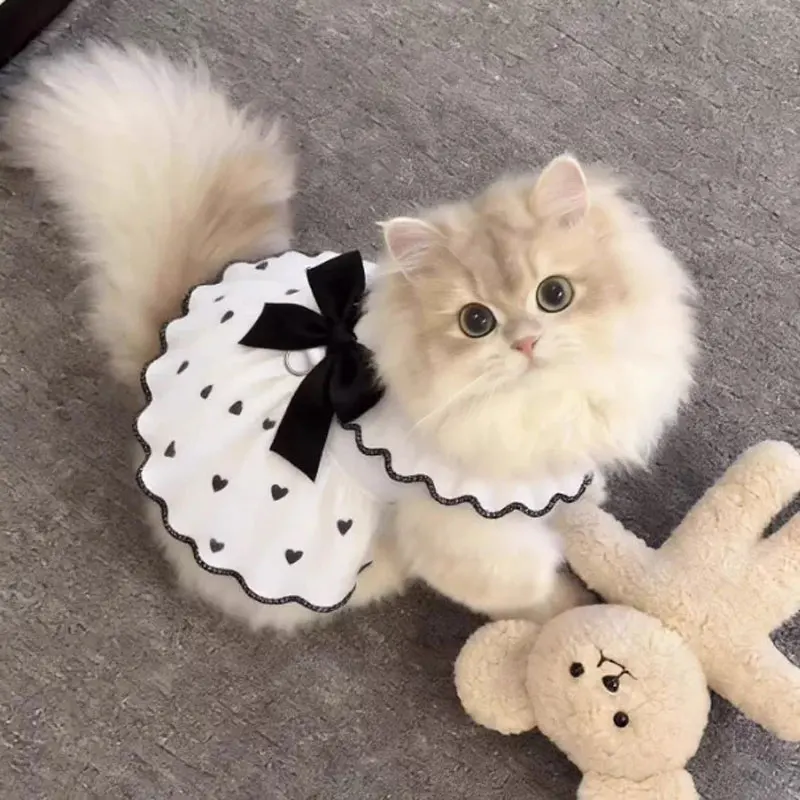 ⭐Cute Spring & Summer Pet Dress – Lightweight Clothing for Cats & Small Dogs - Image 5