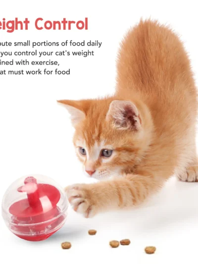 ⭐ Kitten Slow Feeder Training Ball
Durable, simple, no‑battery design.