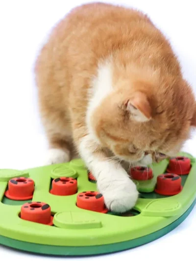 ⭐ Interactive Slow Feeder Scratch Board
Mental stimulation + controlled eating.