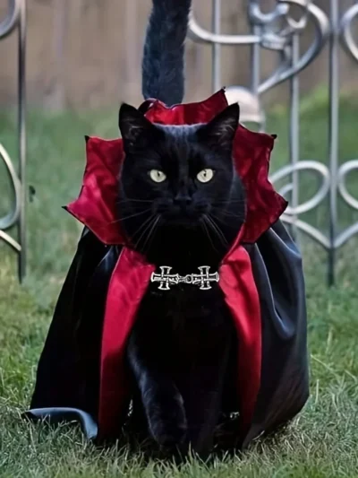 ⭐ 2‑Piece Gothic Cat Costume Set