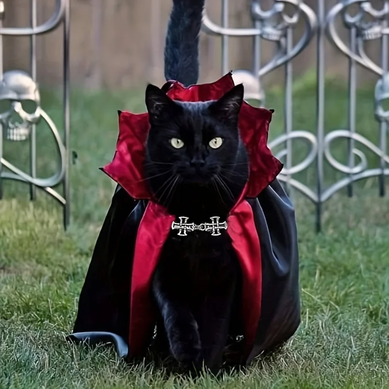 ⭐ 2‑Piece Gothic Cat Costume Set