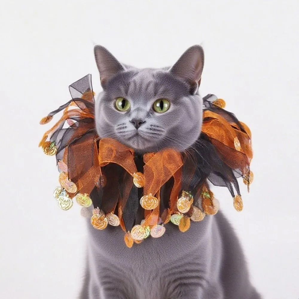 ⭐Kawaii Pumpkin Halloween Cat Costume – Adjustable Collar, Hat & Mesh Scarf Set