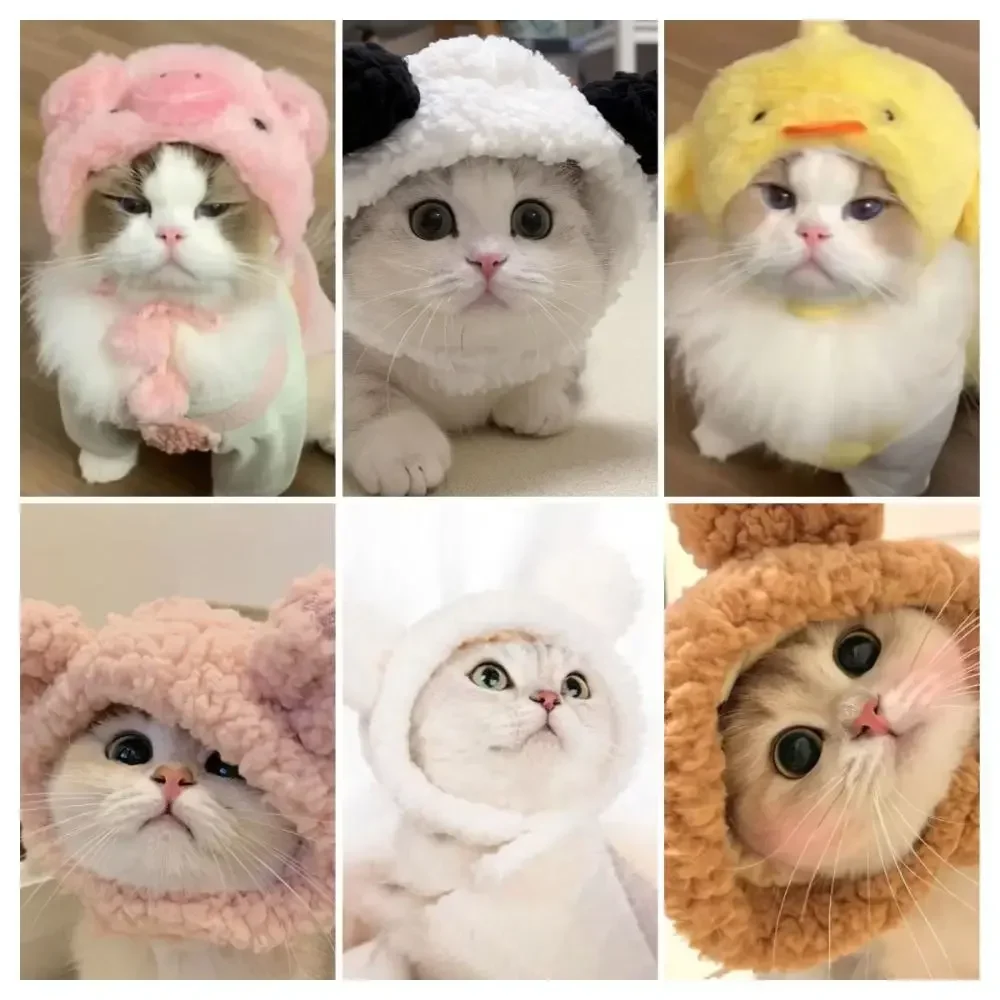 ⭐ Cute Cat Wig Costume – Funny Pet Hat with Ears for Cats & Small Dogs - Image 12