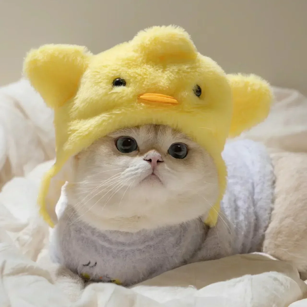 ⭐ Cute Cat Wig Costume – Funny Pet Hat with Ears for Cats & Small Dogs - Image 7