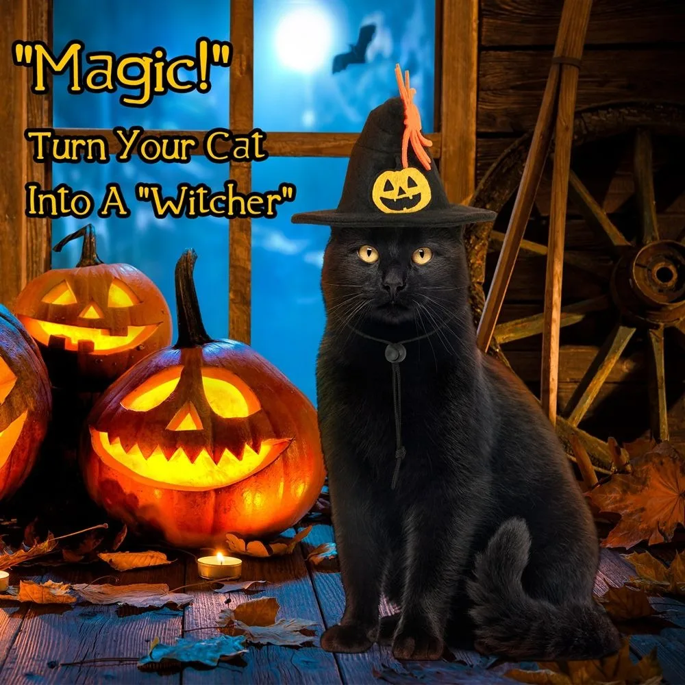 ⭐Kawaii Pumpkin Halloween Cat Costume – Adjustable Collar, Hat & Mesh Scarf Set - Image 12