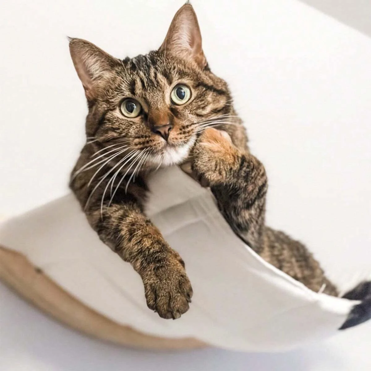 ⭐ WhiskerNest Wall‑Mounted Hammock - Image 2