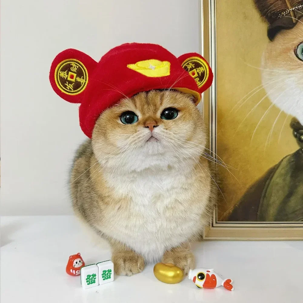 ⭐ Cute Cat Wig Costume – Funny Pet Hat with Ears for Cats & Small Dogs - Image 23