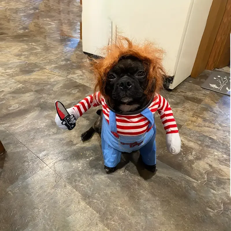 ⭐ Funny Bloody Doll Pet Transformation Costume - Image 13