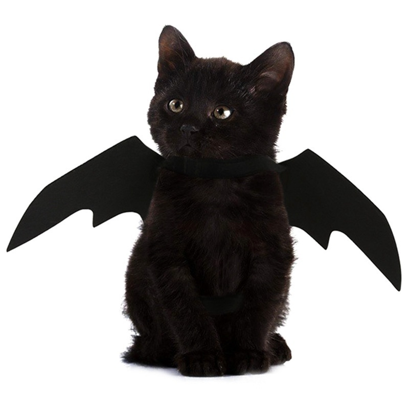 ⭐Black Bat Wings Halloween Harness – Cute Cosplay Costume for Cats & Small Dogs - Image 9