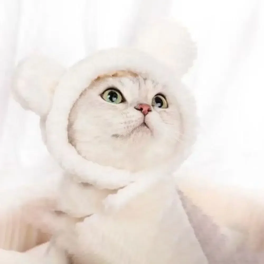 ⭐ Cute Cat Wig Costume – Funny Pet Hat with Ears for Cats & Small Dogs - Image 14