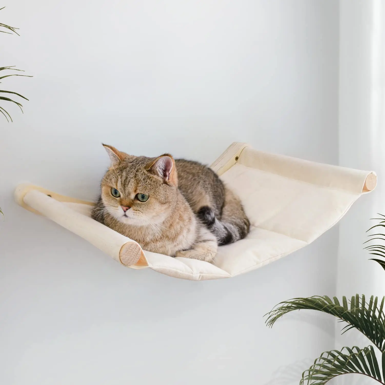 ⭐ WhiskerNest Wall‑Mounted Hammock