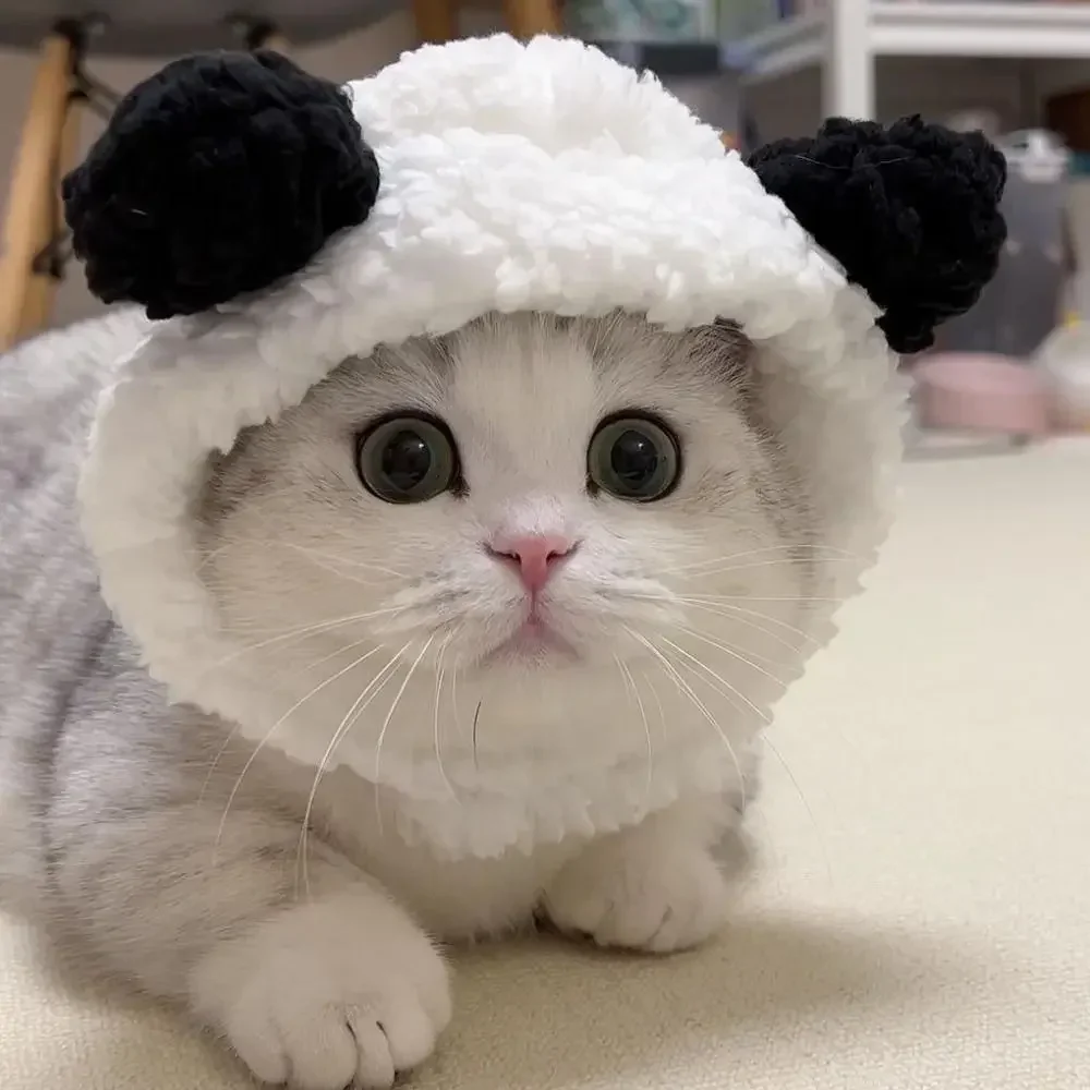 ⭐ Cute Cat Wig Costume – Funny Pet Hat with Ears for Cats & Small Dogs - Image 15