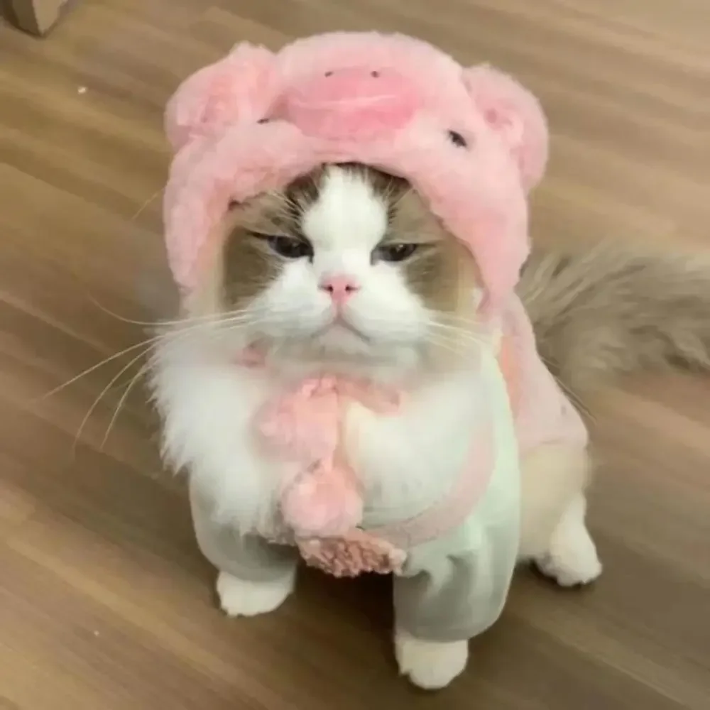 ⭐ Cute Cat Wig Costume – Funny Pet Hat with Ears for Cats & Small Dogs - Image 17
