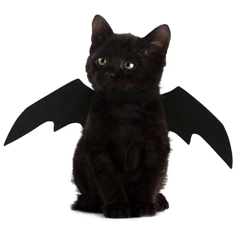 ⭐Black Bat Wings Halloween Harness – Cute Cosplay Costume for Cats & Small Dogs - Image 3