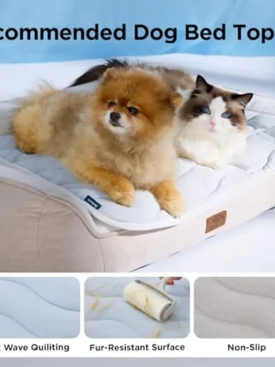⭐ Cool Paws Cooling Mat