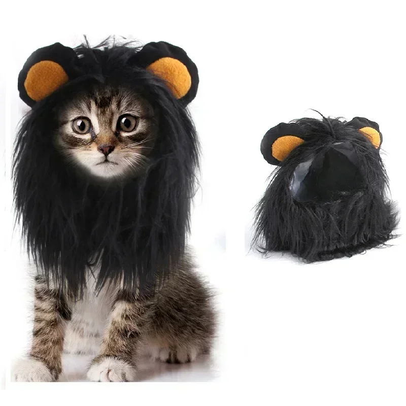 ⭐ Hear Me Roar... Meow! - Image 8